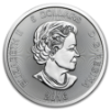 1oz Canadian Cougar Silver Coin Obverse